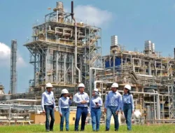 CDIA Bagikan Dividen Interim: Investor Wajib Lakukan ini