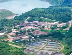 Saham BUMI Melesat, Ujian Keberlanjutan Masih Panjang